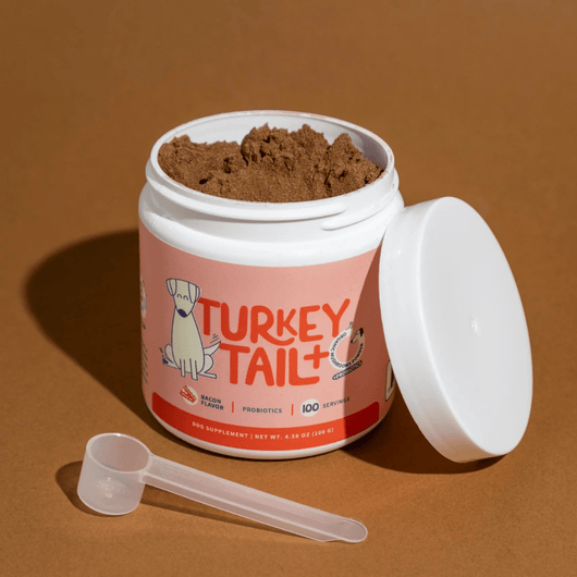 Turkey Tail+ - MILOÉ