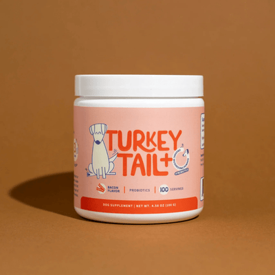 Turkey Tail+ - MILOÉ