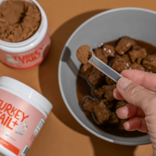 Turkey Tail+ - MILOÉ