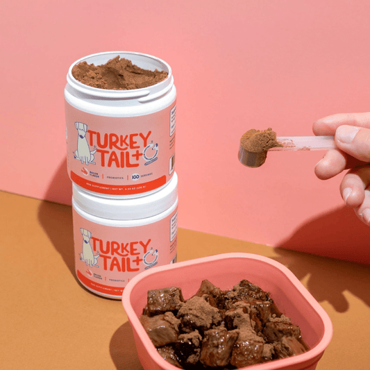 Turkey Tail+ - MILOÉ