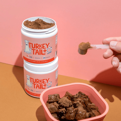 Turkey Tail+ - MILOÉ