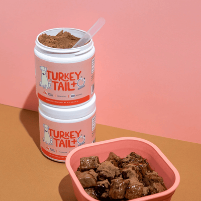 Turkey Tail+ - MILOÉ